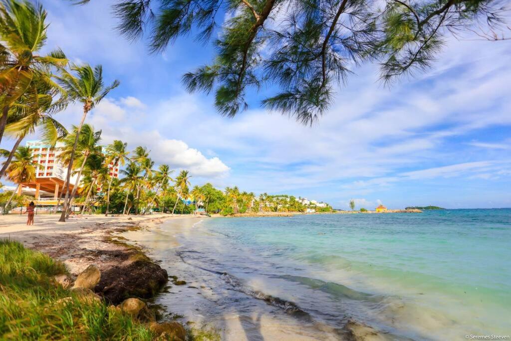 Paradis Studio & Plage A 1 Min Le Gosier  Exterior photo